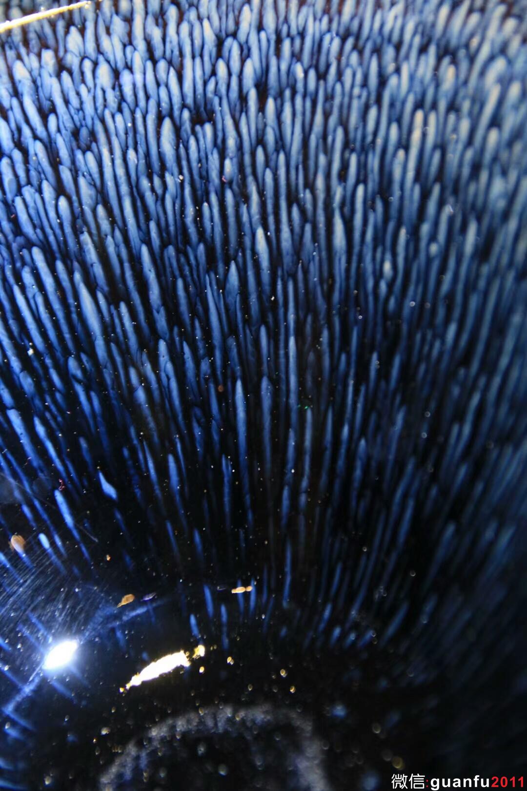 mmexport1533539110877