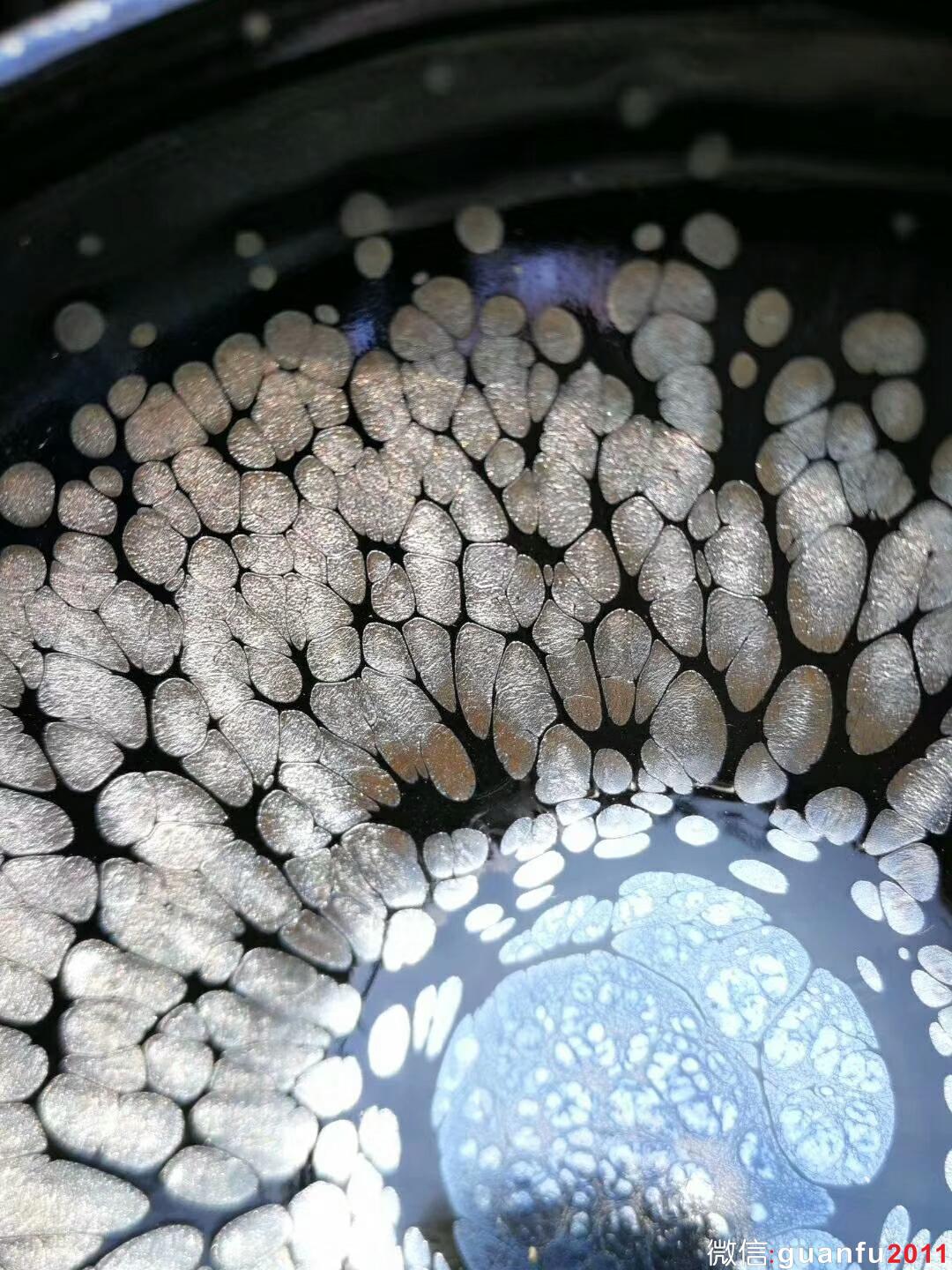 mmexport1533611777232