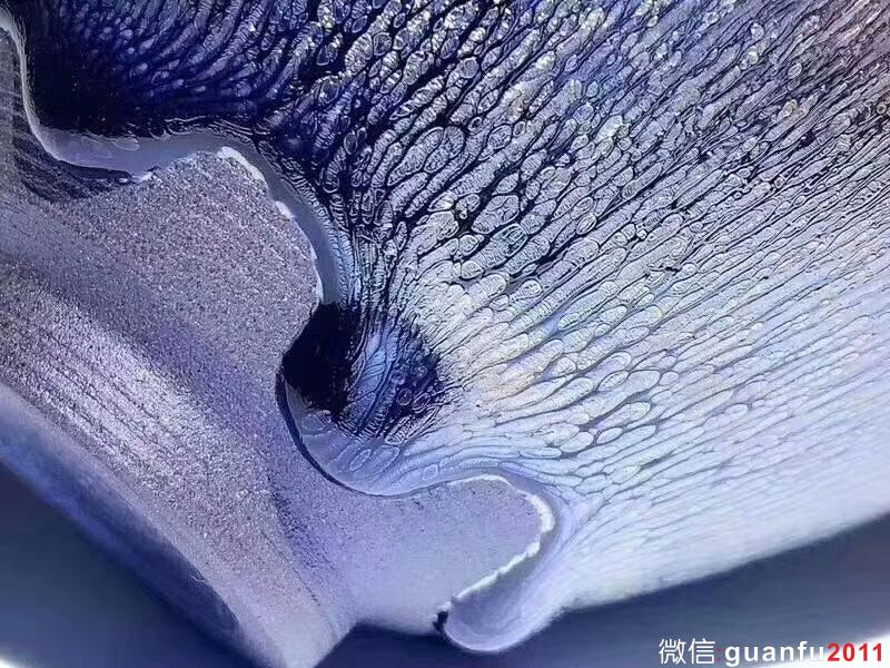 mmexport1533717305458