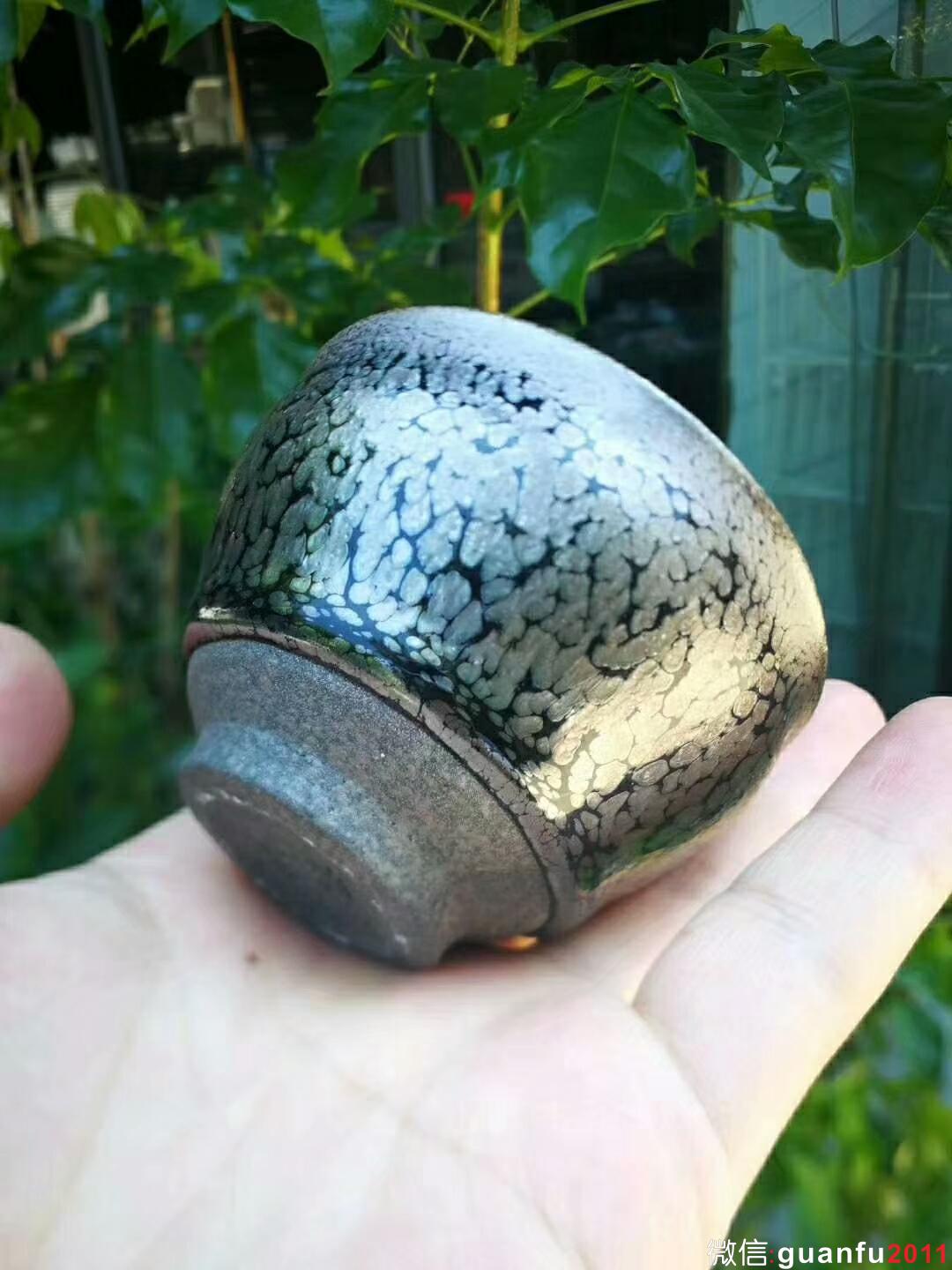 mmexport1533783700758