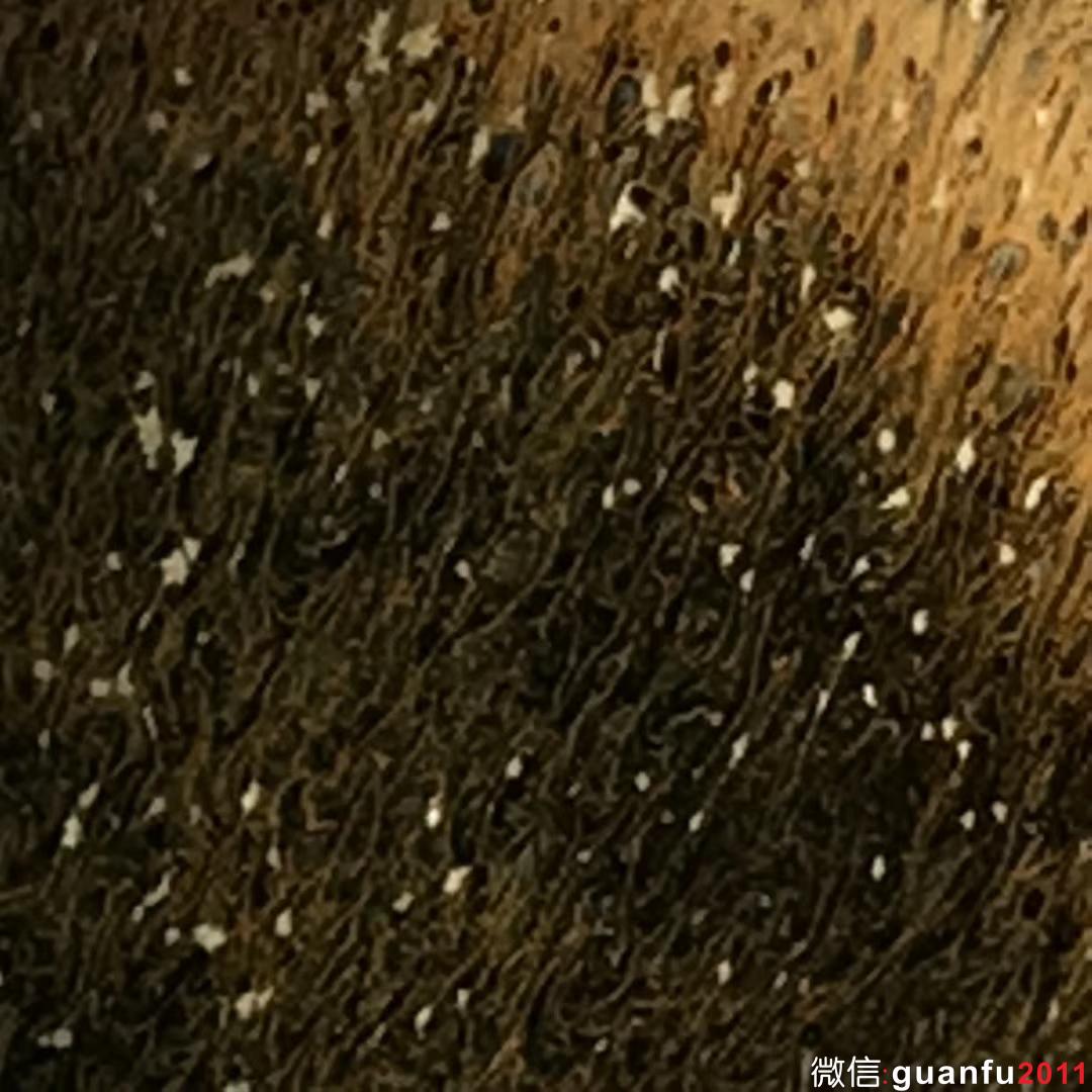 mmexport1533785111951