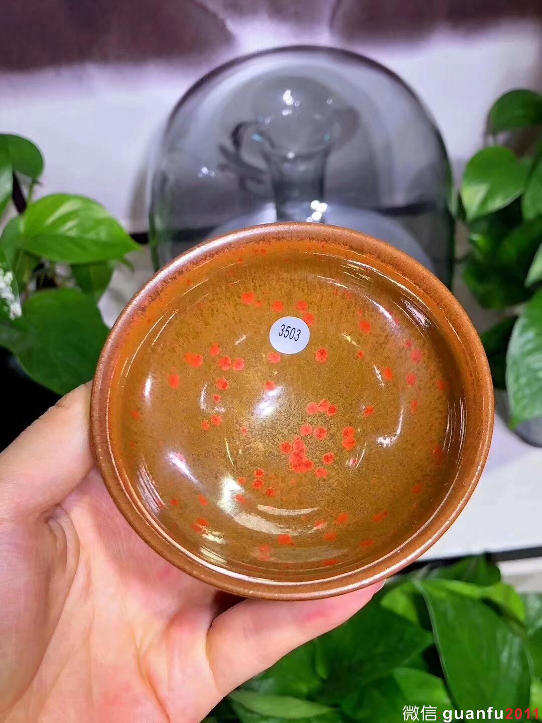 孫建興大師作品，早期金柿紅盞 尺寸9.3/5.5