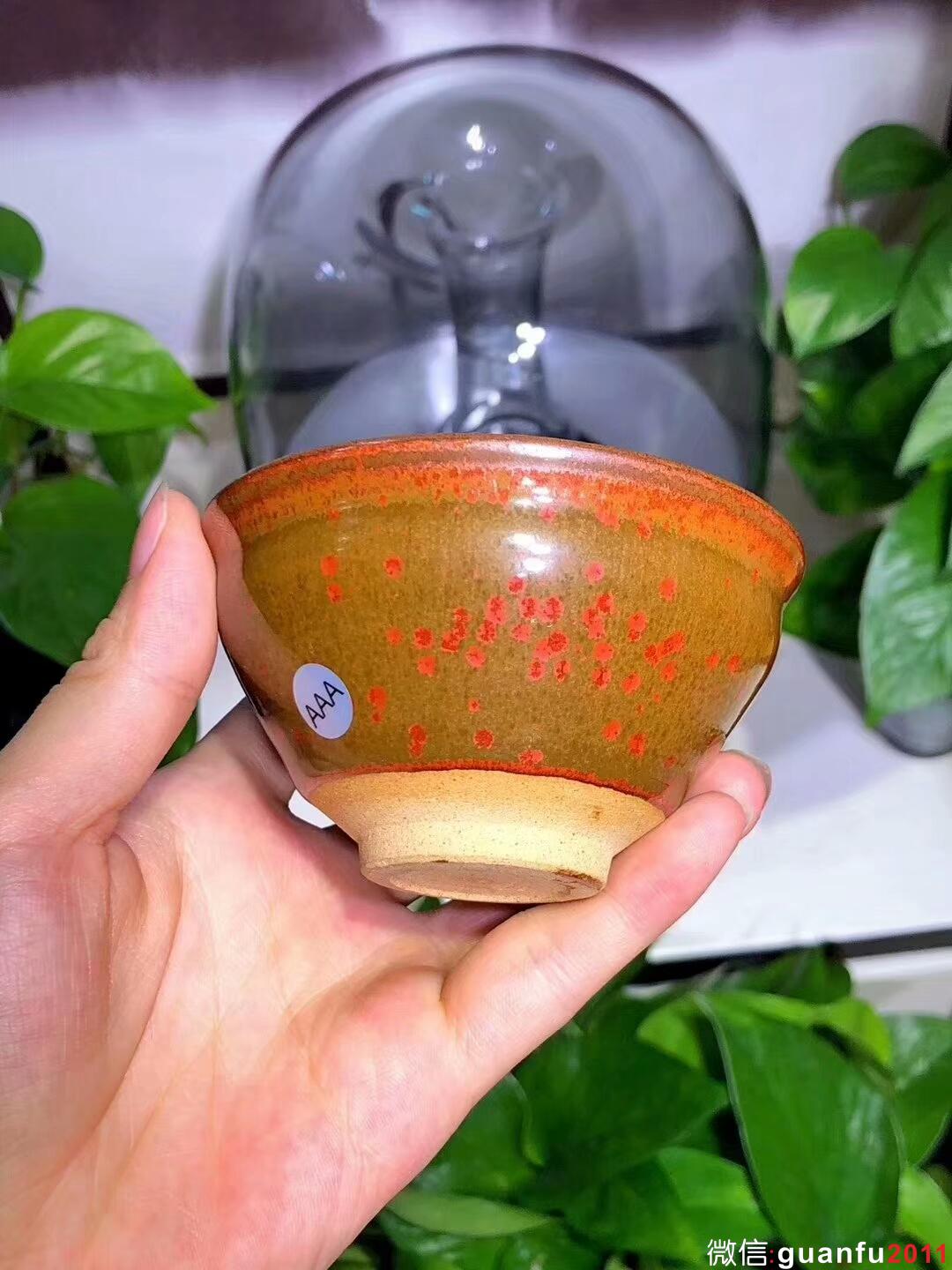 孫建興大師作品，早期金柿紅盞 尺寸9.3/5.5