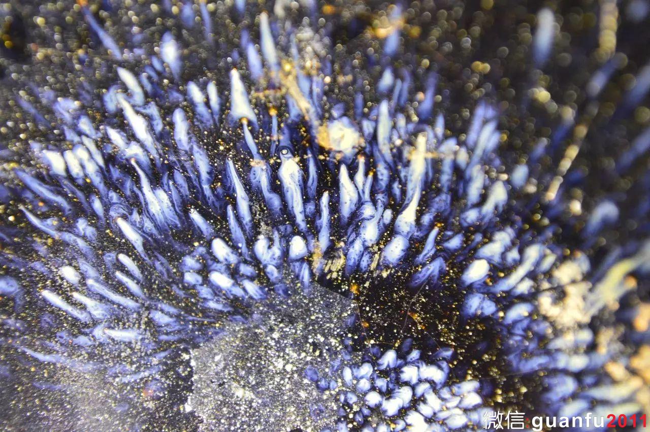 100張兔毫微觀圖，兔毫建盞釉面毫狀大全