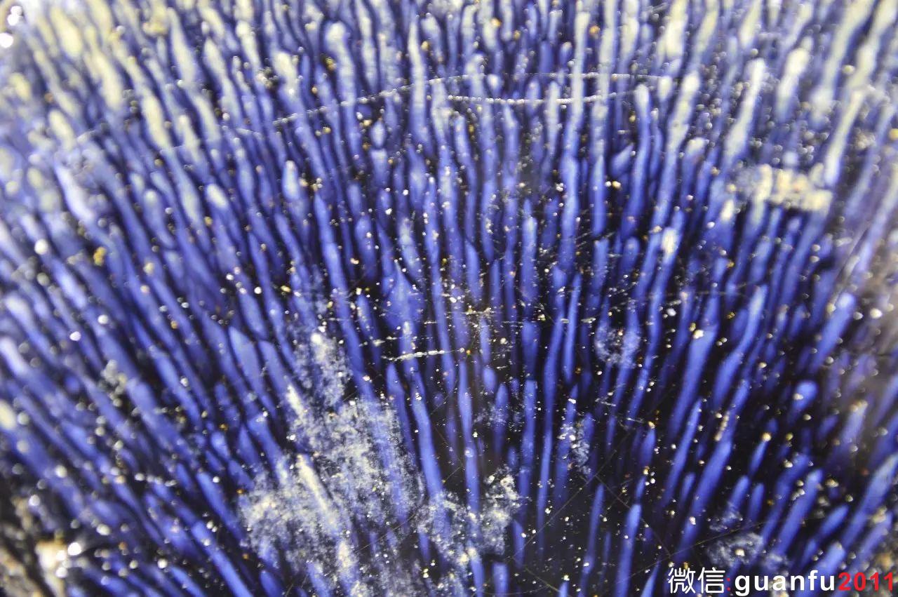 100張兔毫微觀圖，兔毫建盞釉面毫狀大全