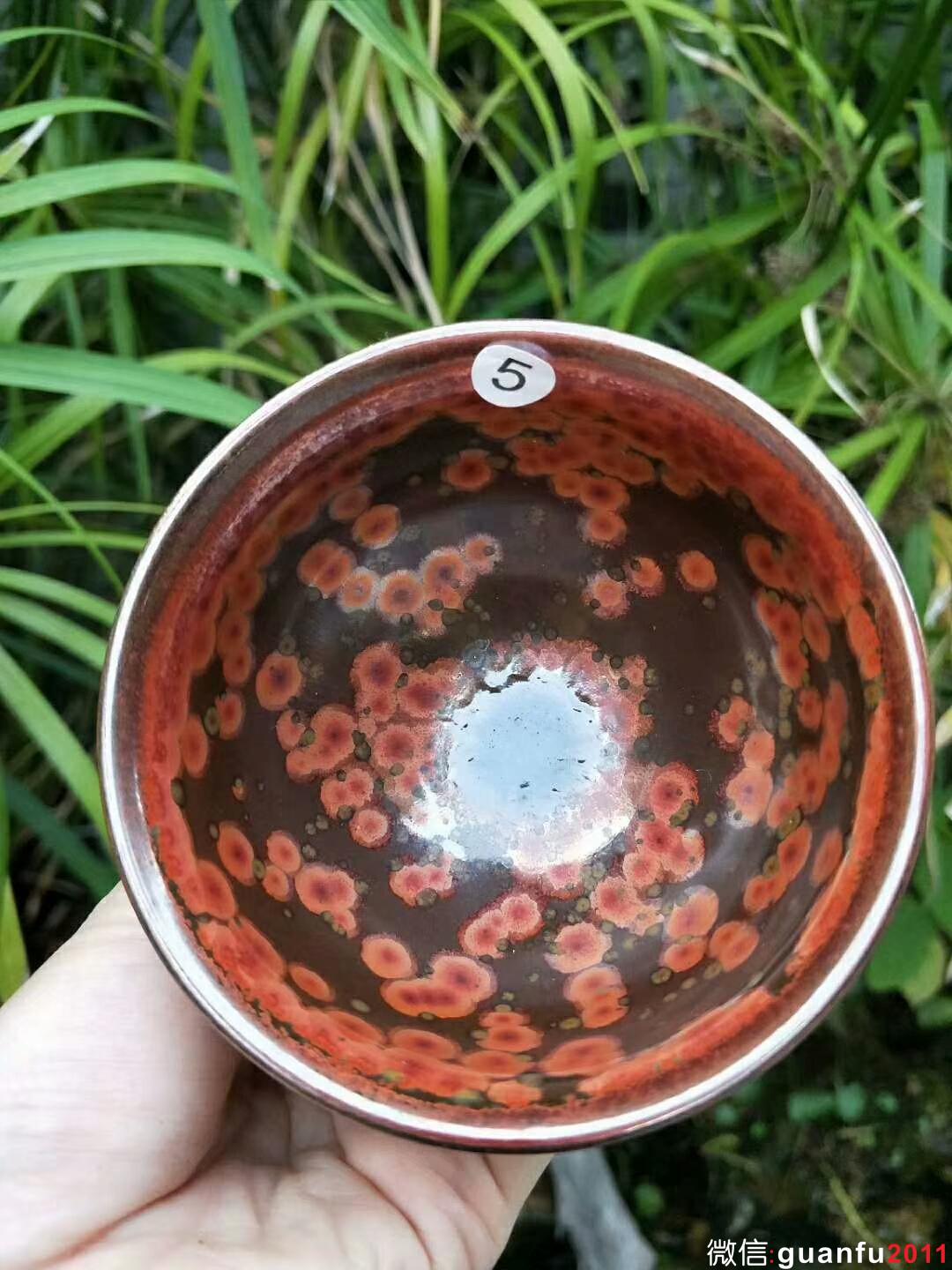 mmexport1534141976010