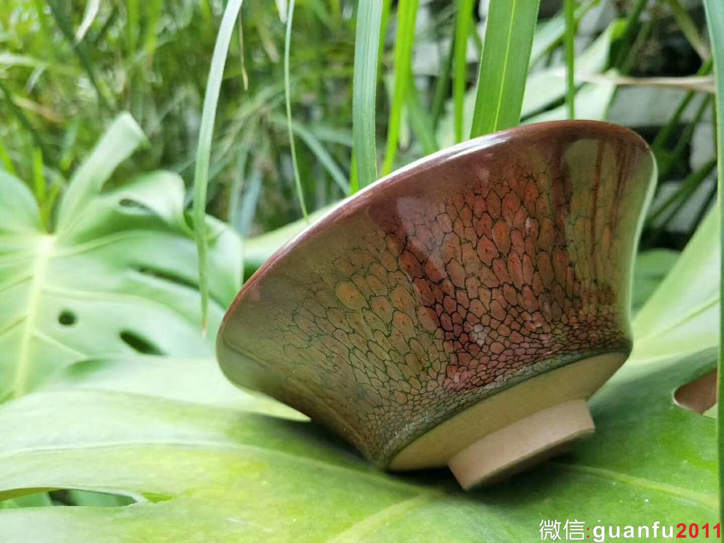 mmexport1534142393391