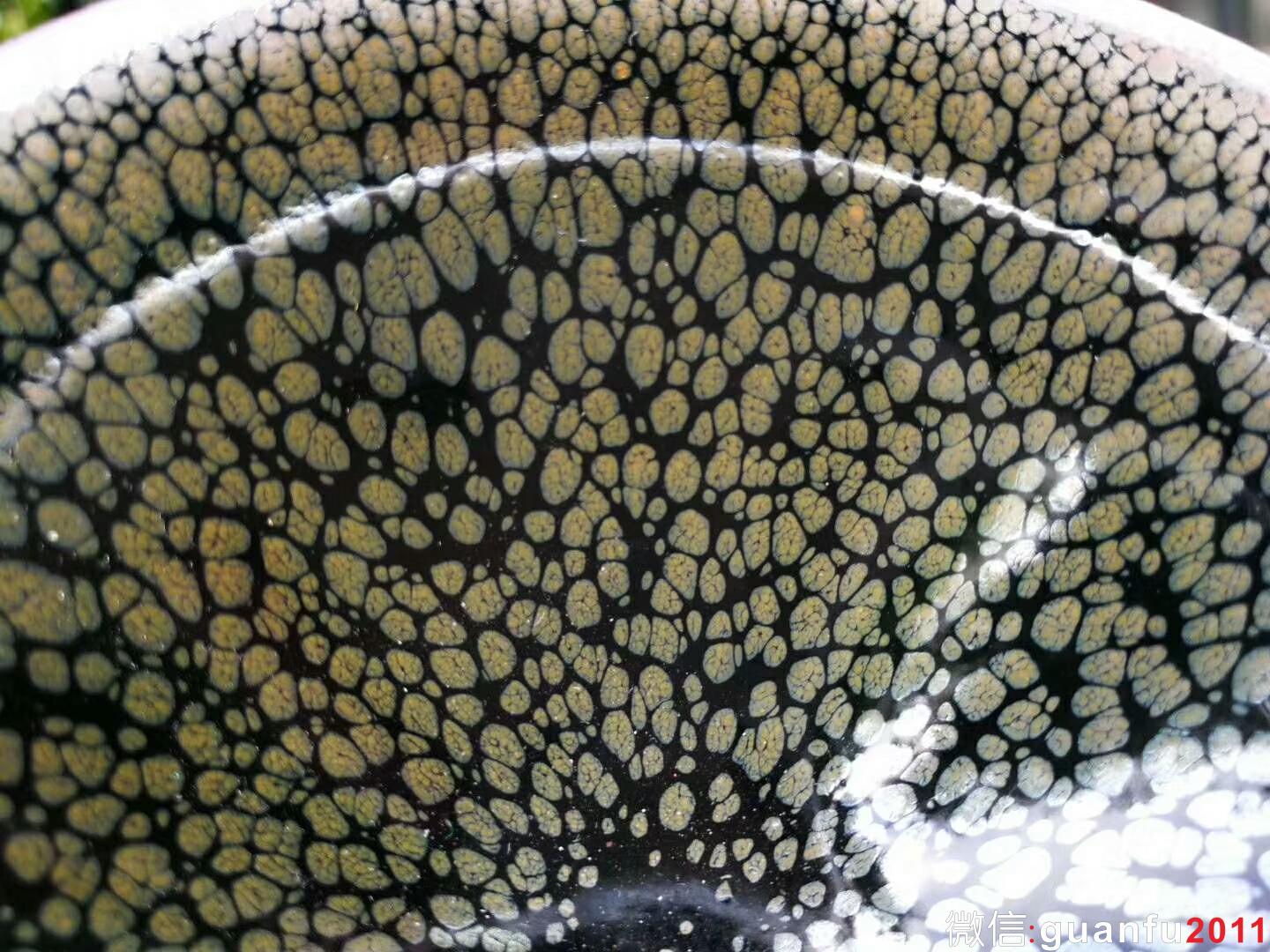 mmexport1534301444997