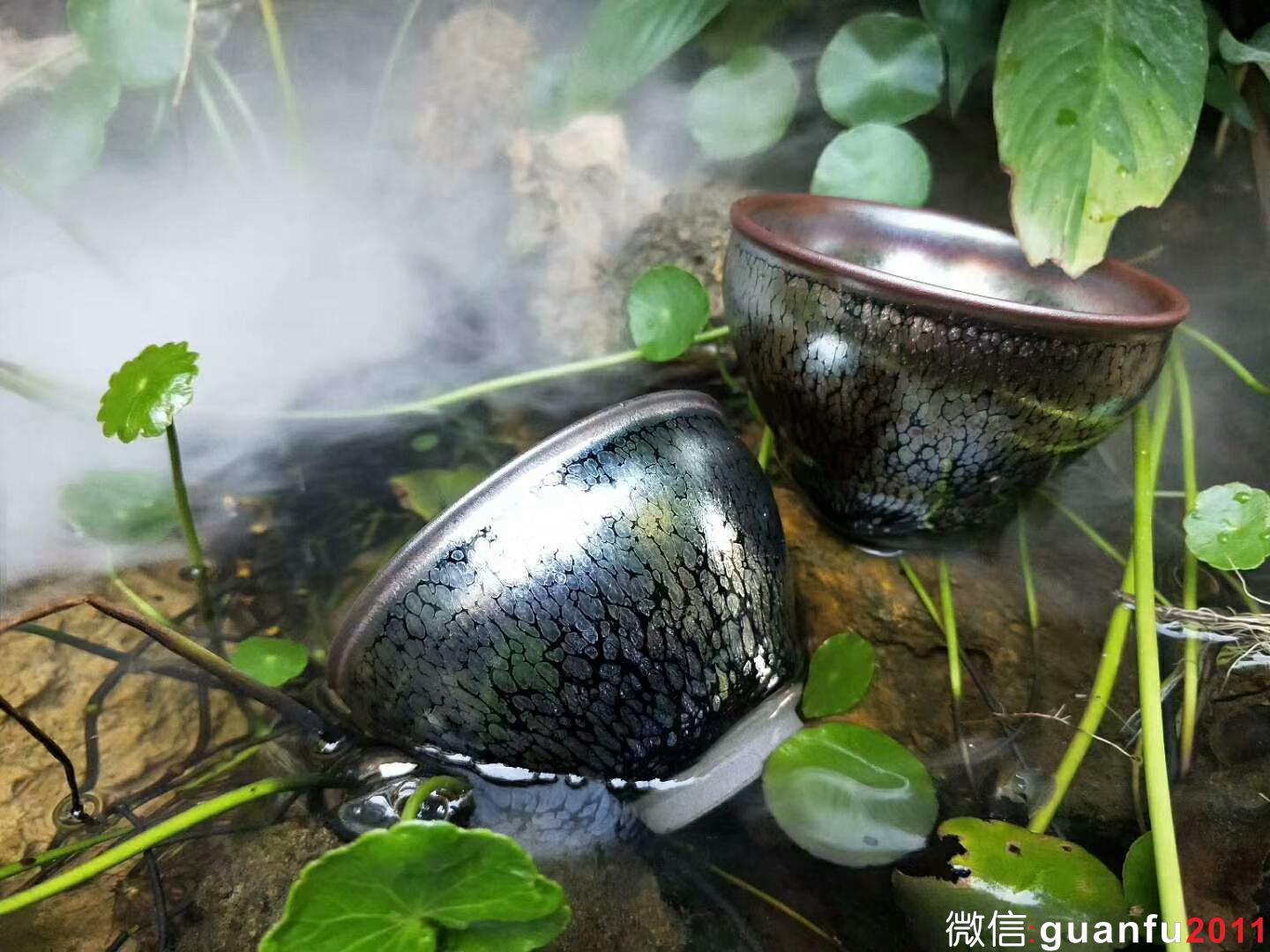 mmexport1534475365724