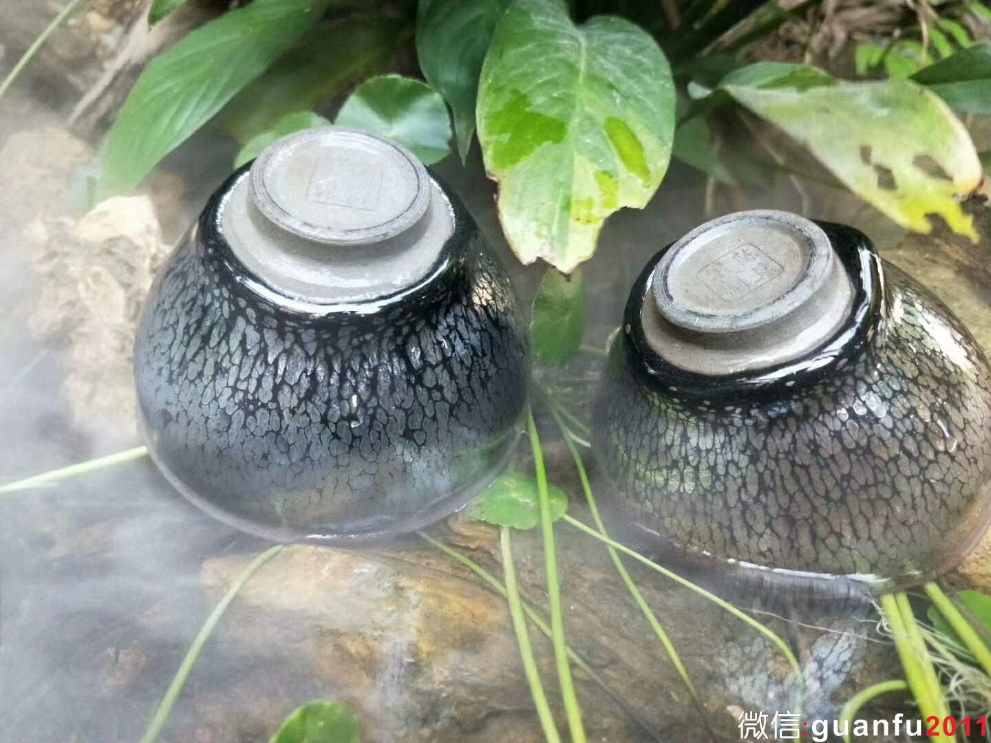 mmexport1534475374888