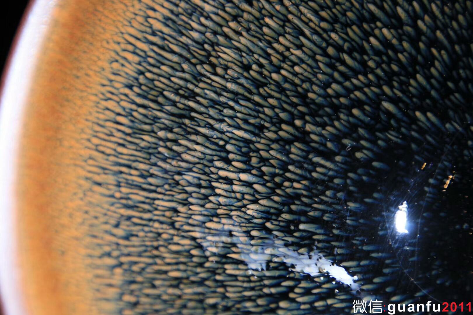 mmexport1534484047268