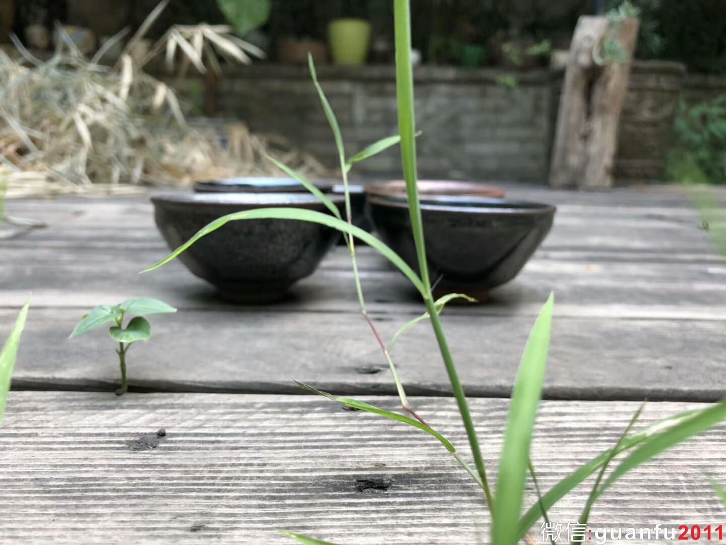 mmexport1534736380789