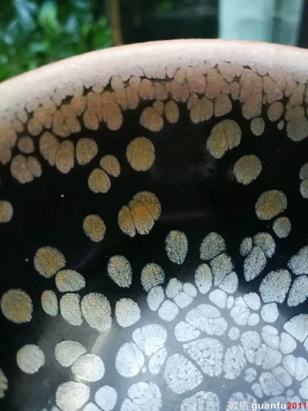 mmexport1534744562181