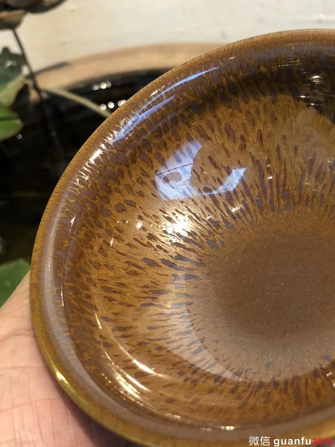 mmexport1534990774767