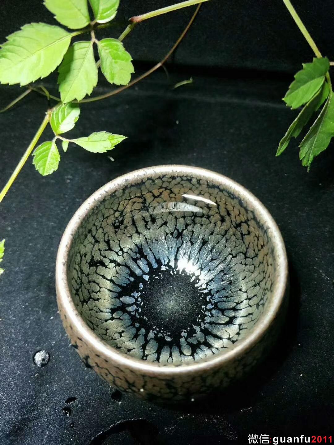 mmexport1534996788203