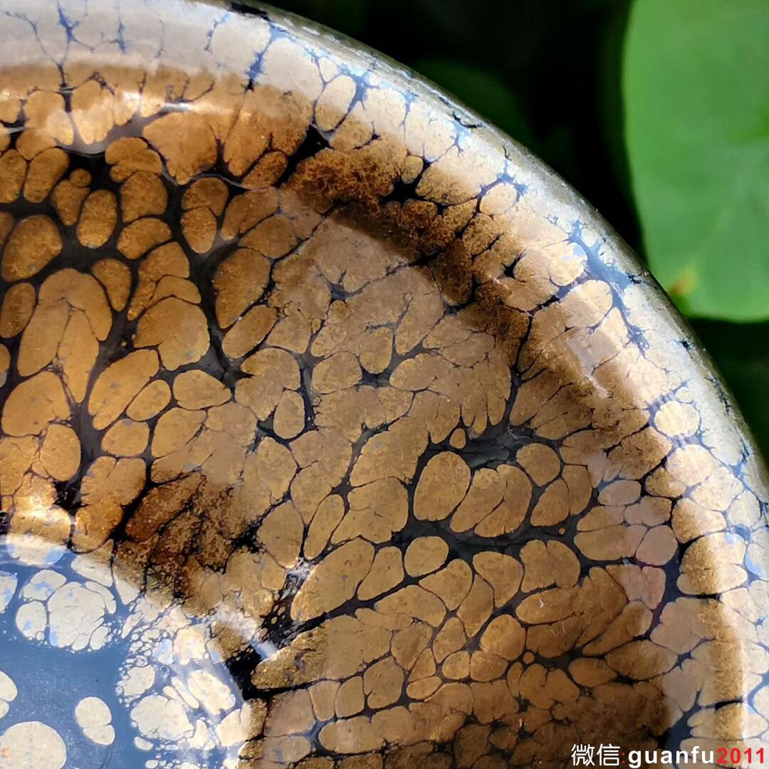 mmexport1535075424334