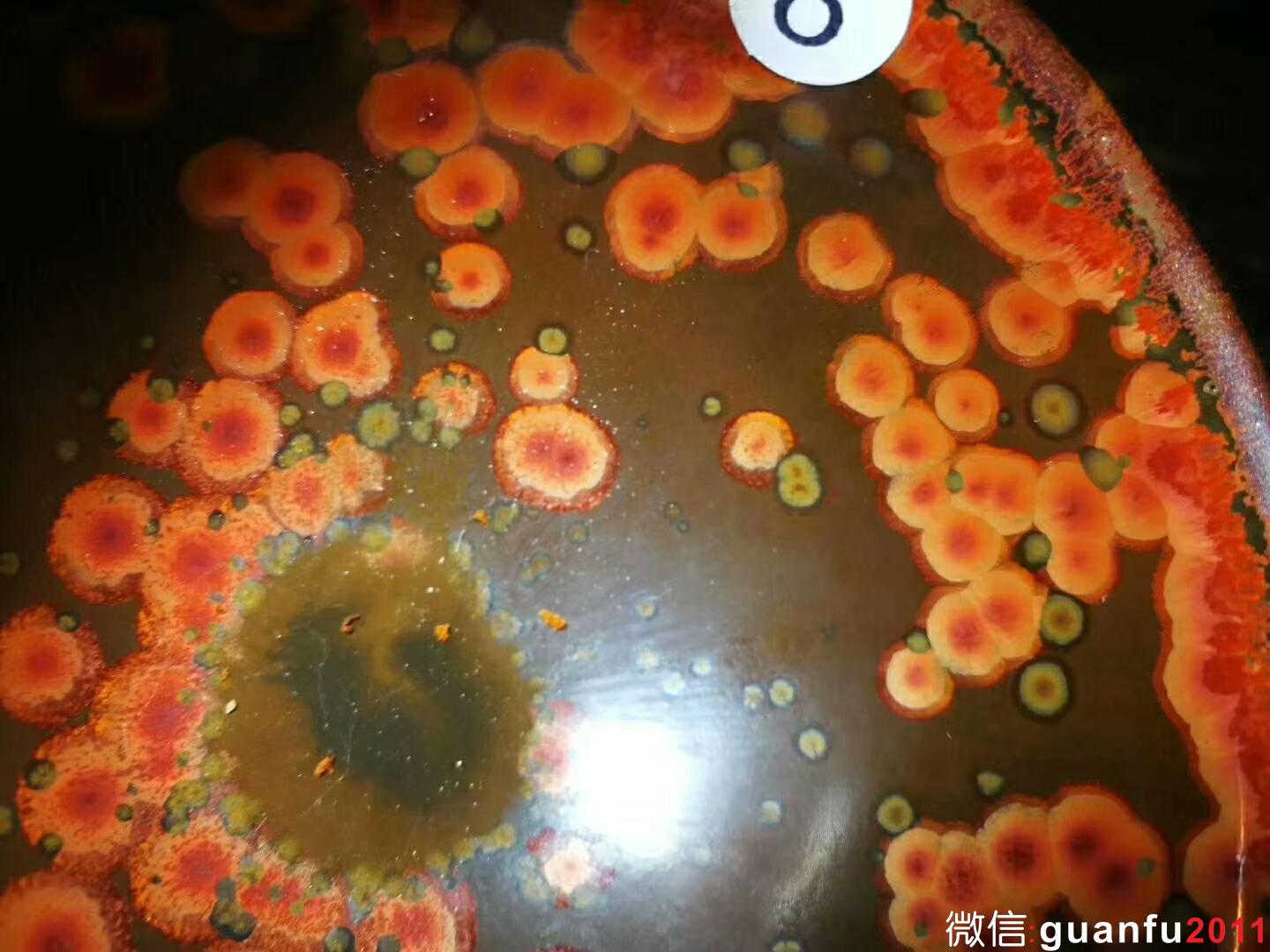 mmexport1535079886535