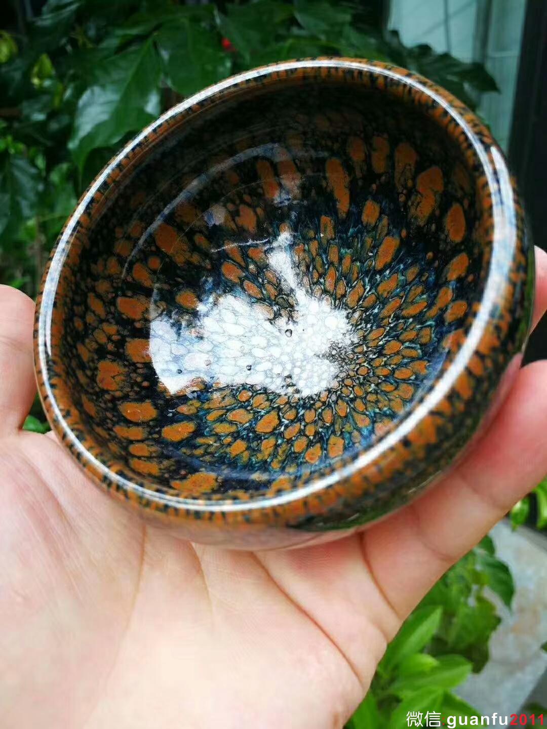 mmexport1535359906508