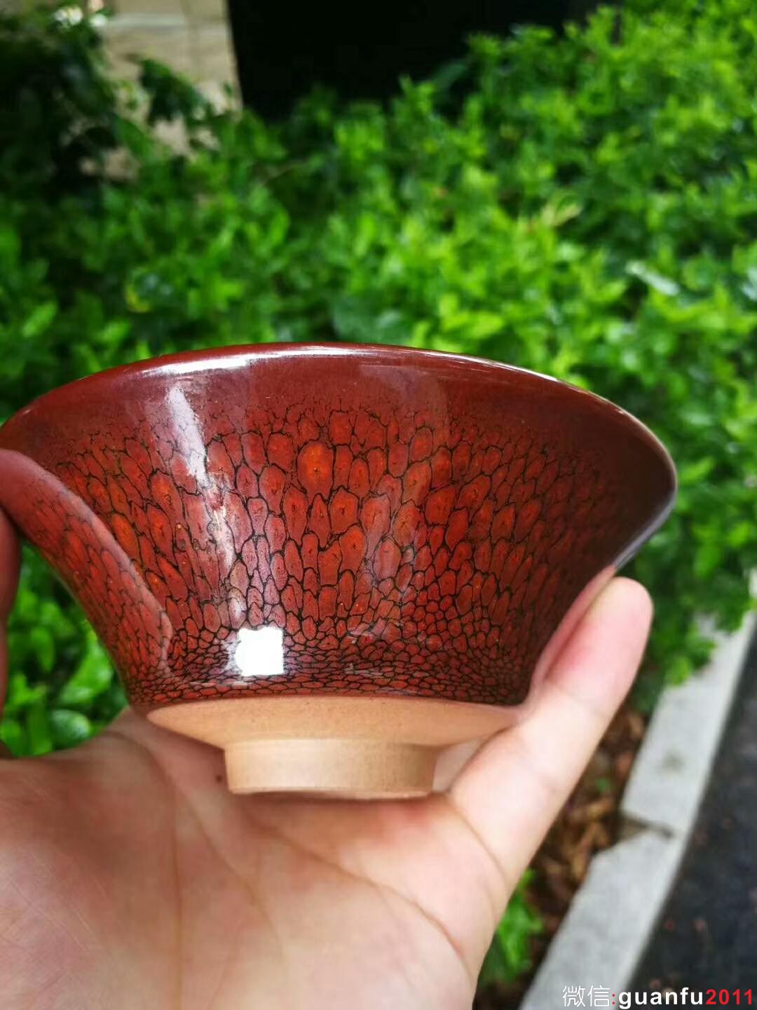 mmexport1535359965163