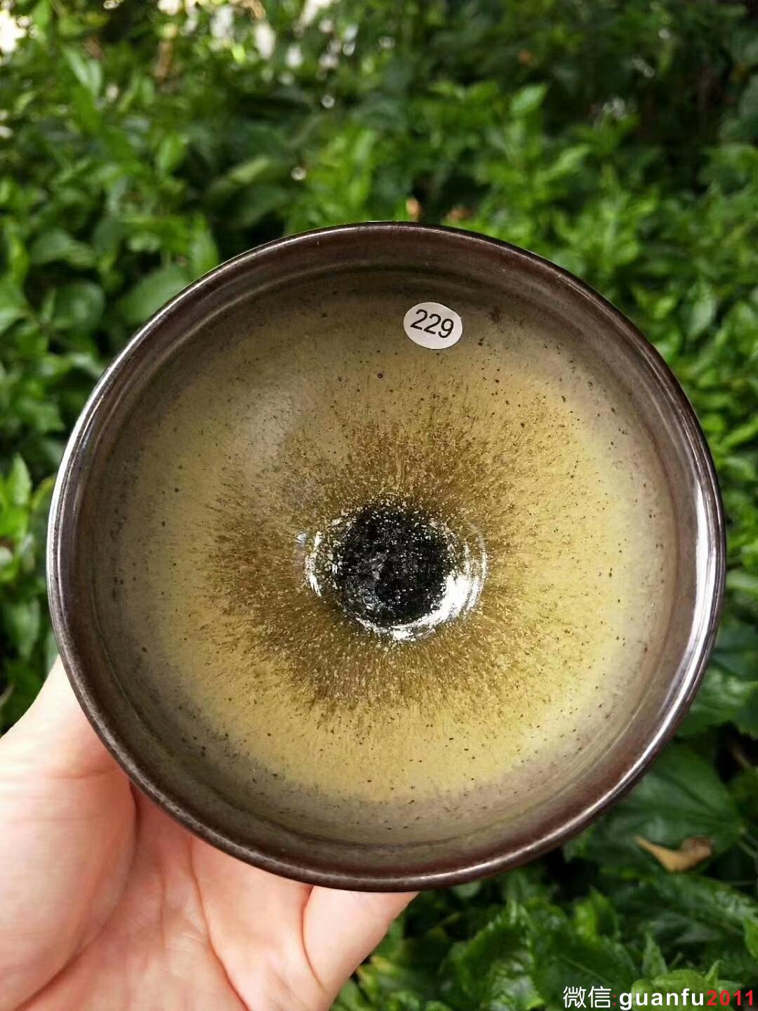 mmexport1535419675621