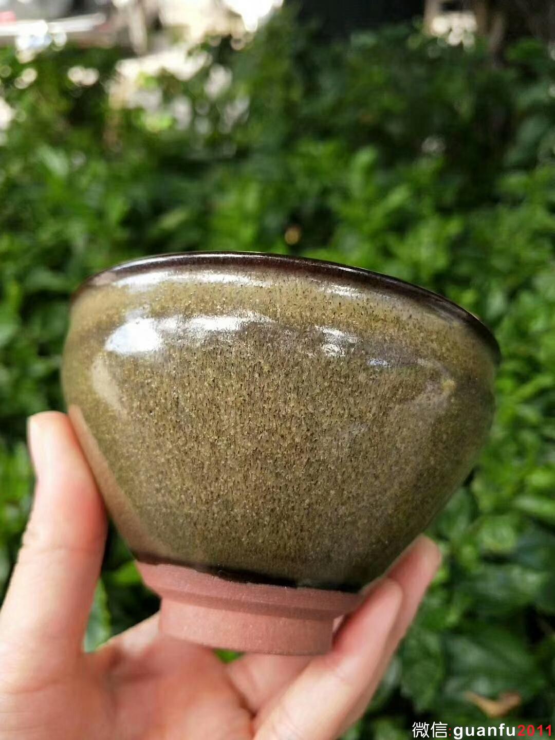 mmexport1535419681825