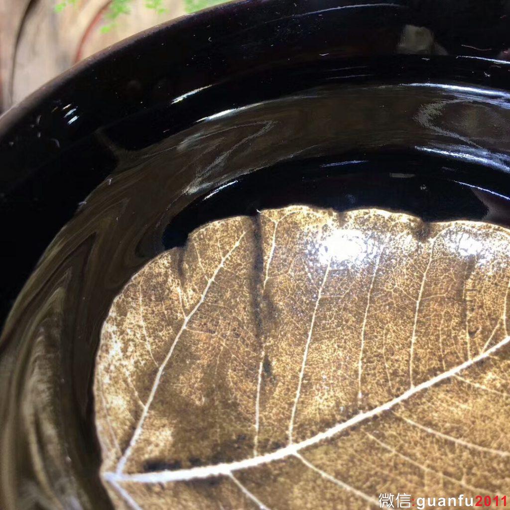 mmexport1541988512166