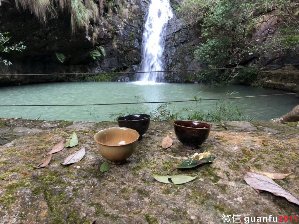 mmexport1543219896124