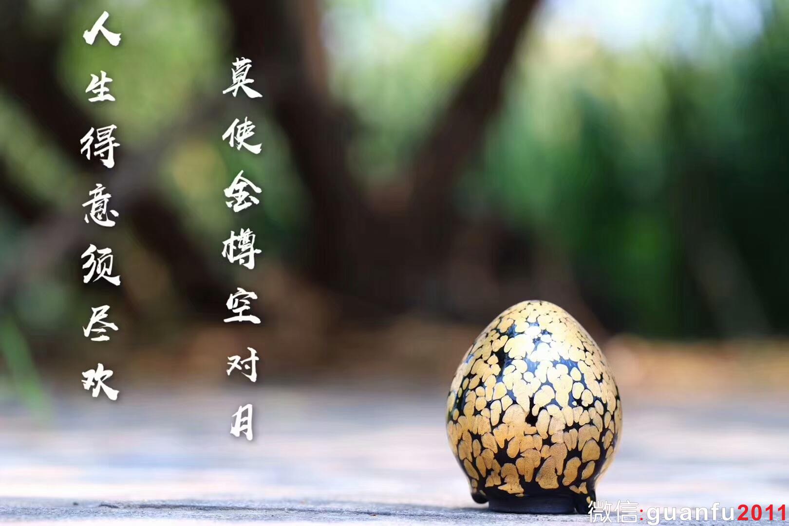 mmexport1545985385818