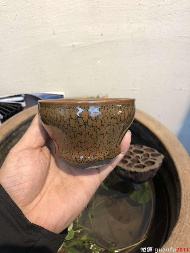 mmexport1546069112976