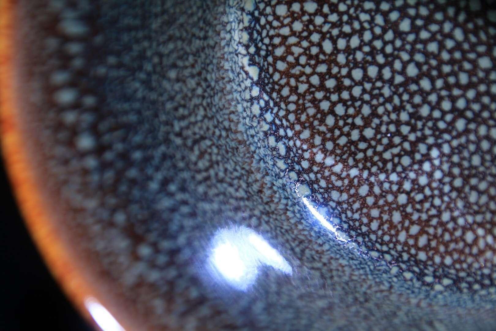 作者：范澤鋒老師    “歲寒三友” 【竹】堅毅不撥的青松，挺撥多姿的翠竹