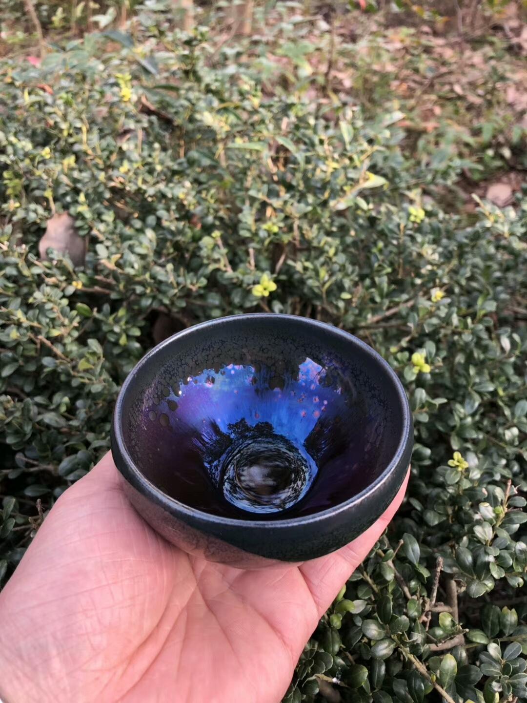 mmexport1550306286220