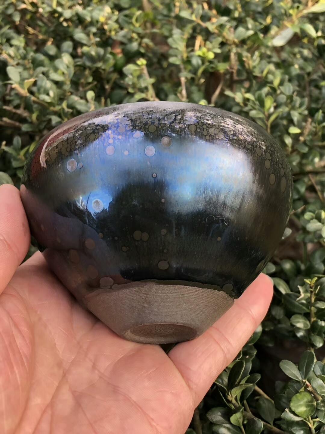 mmexport1550306295426