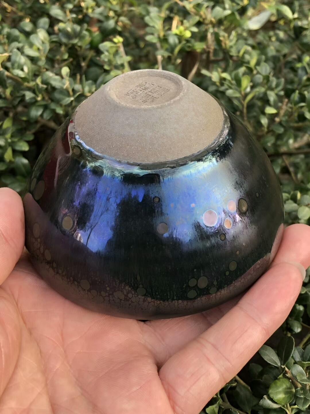 mmexport1550306297681