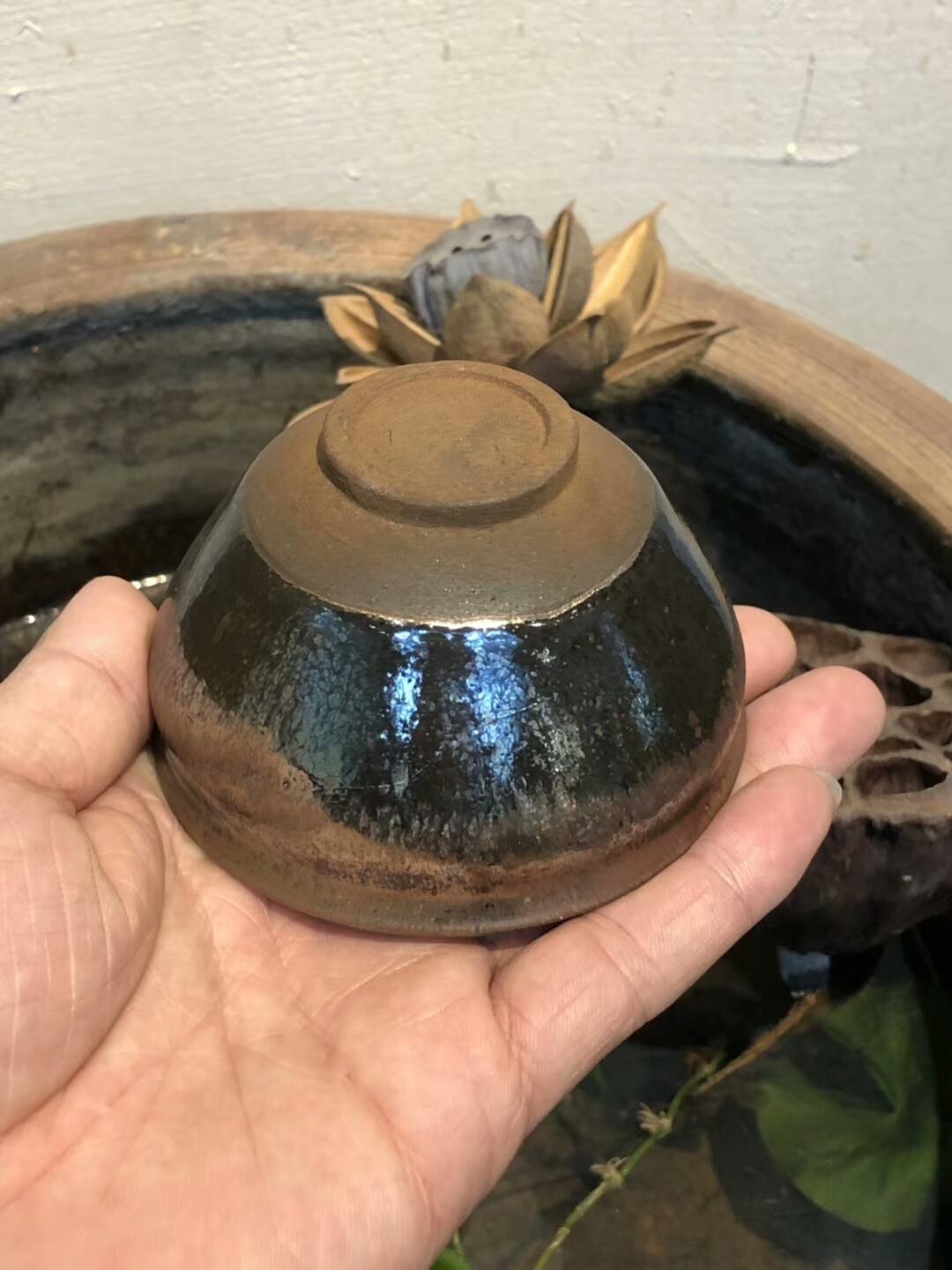 mmexport1550652106600