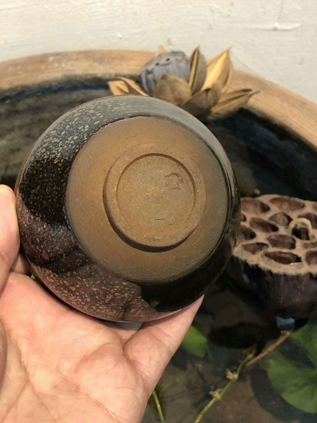 mmexport1550652109169