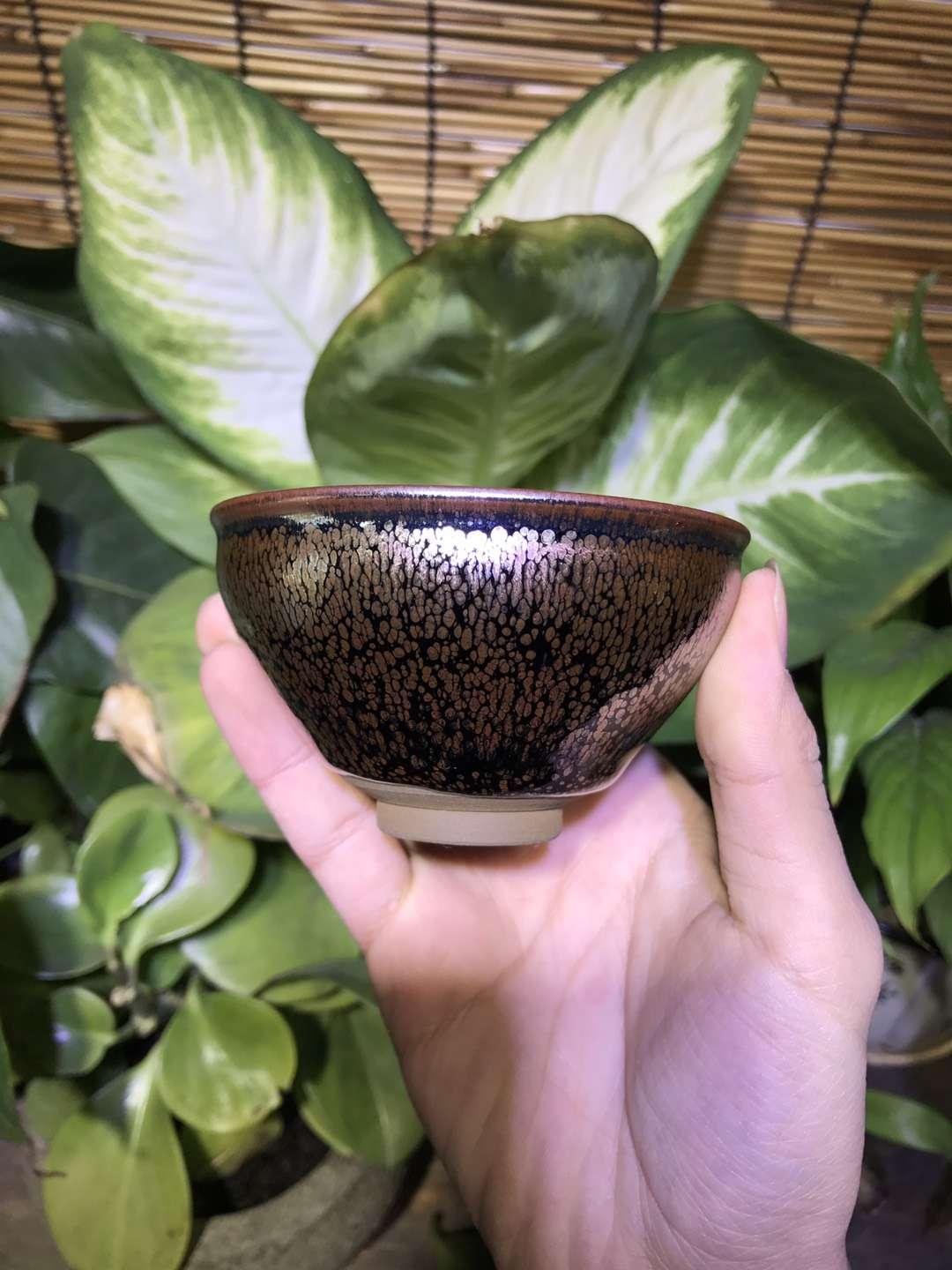 mmexport1550736794953