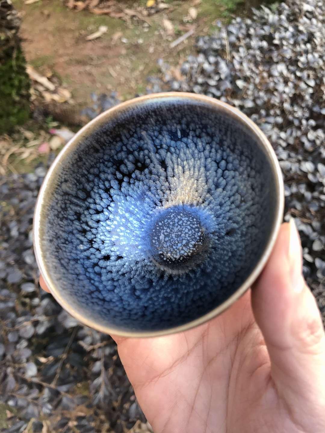 mmexport1550737003293