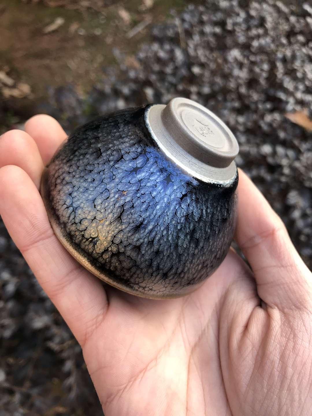 mmexport1550737013282