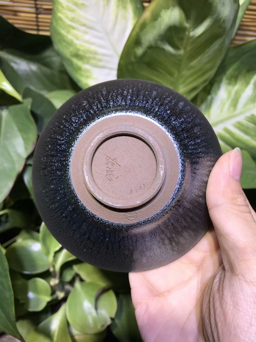 mmexport1550737500049