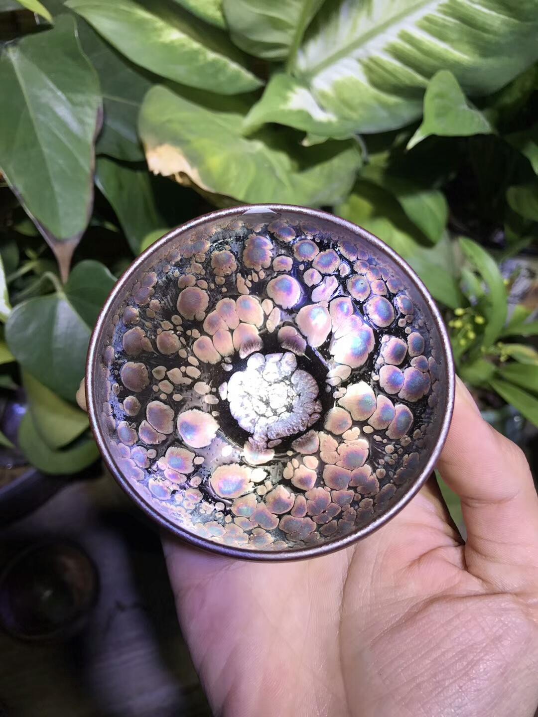 mmexport1550737567911