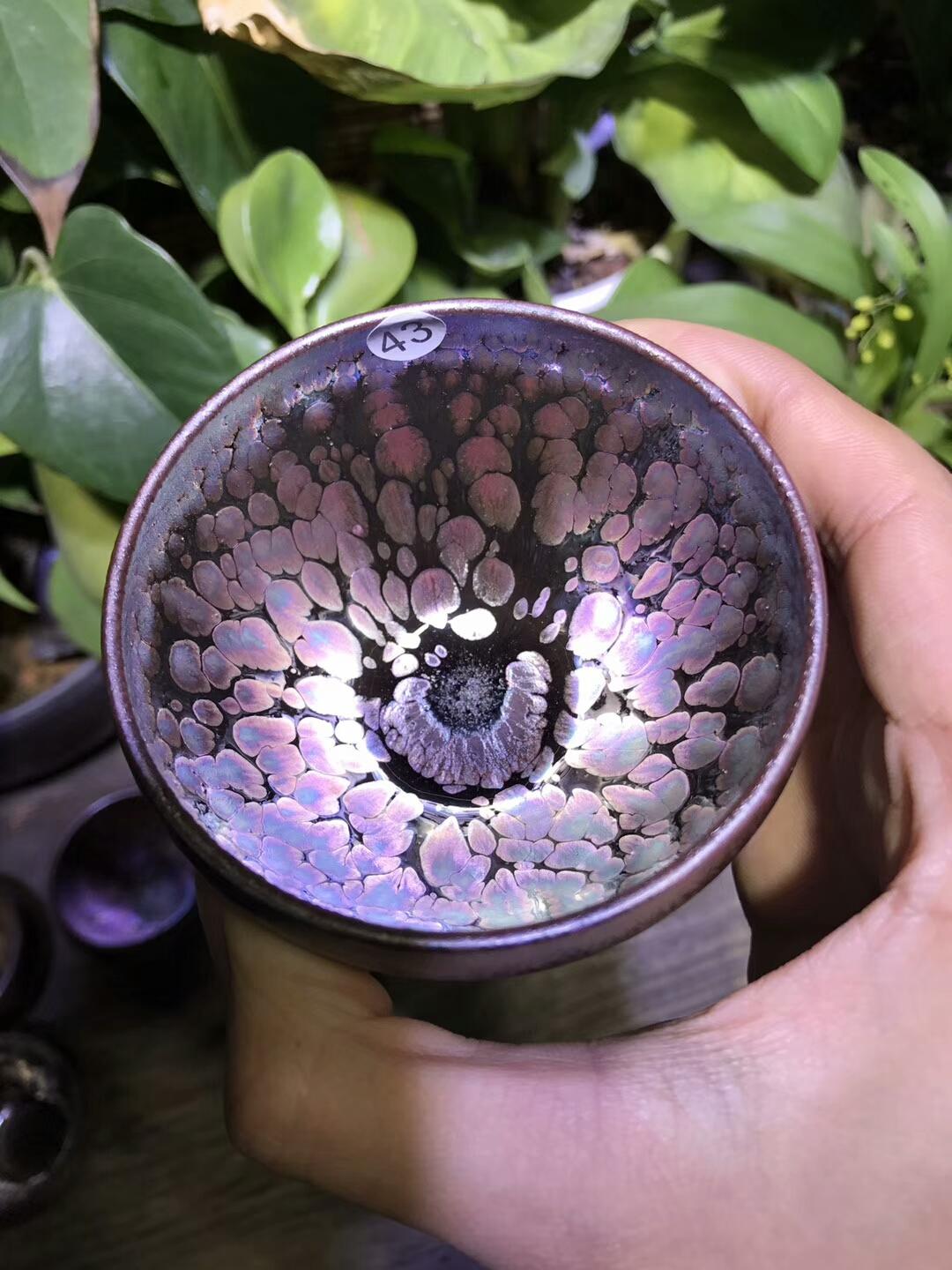 mmexport1550737572048