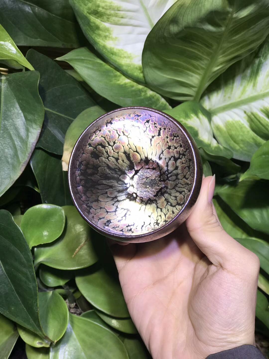 mmexport1550738154092