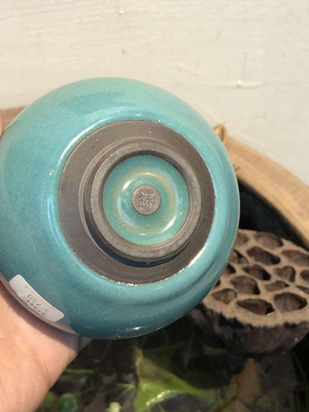 mmexport1550802543026