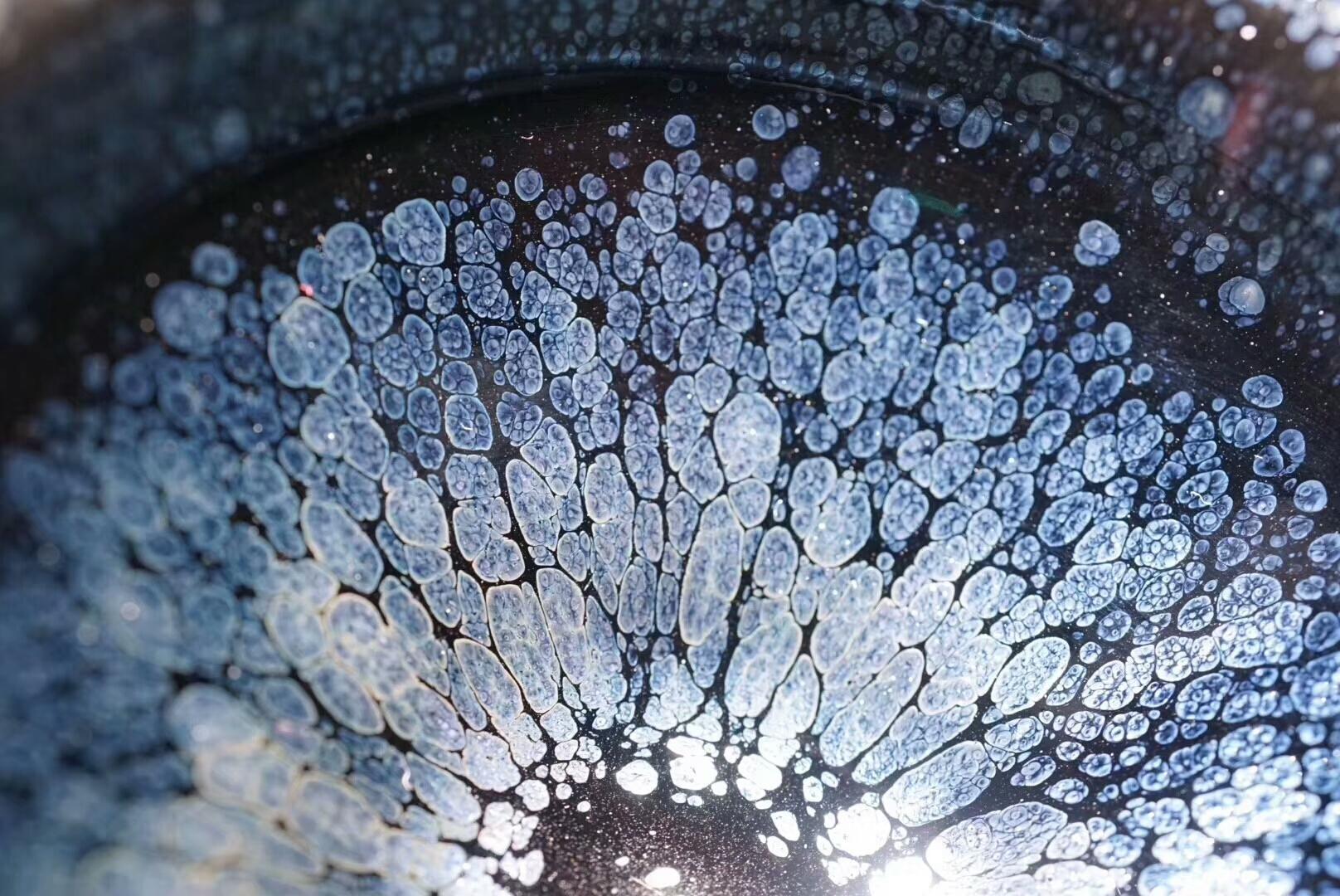 mmexport1550805917217