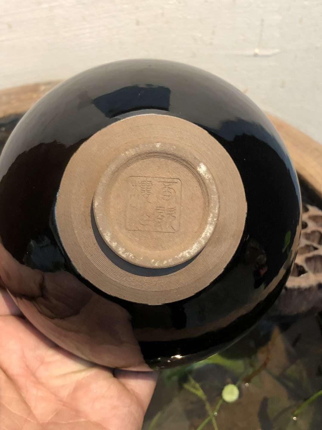 mmexport1550891518120