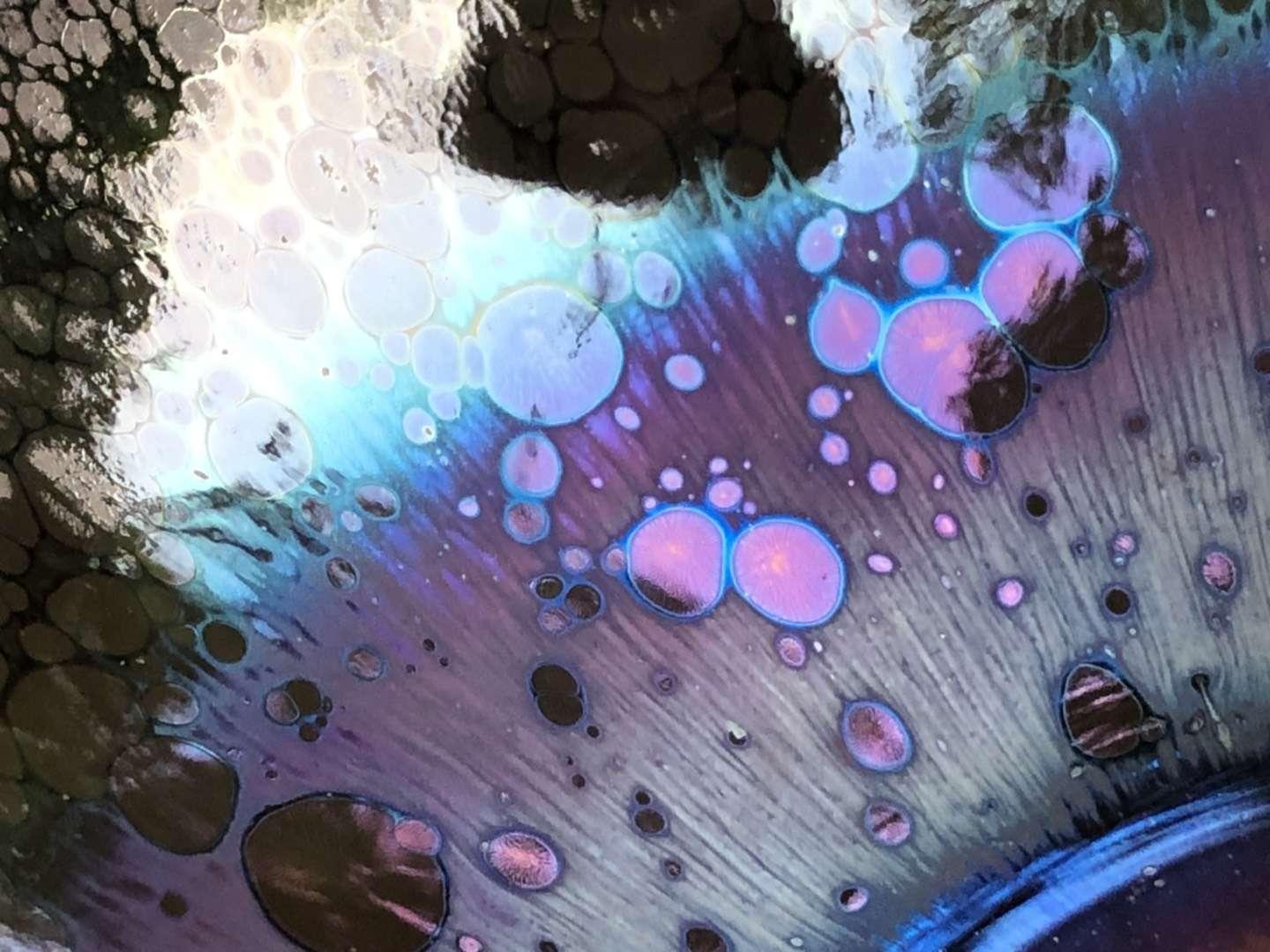 mmexport1550897326349