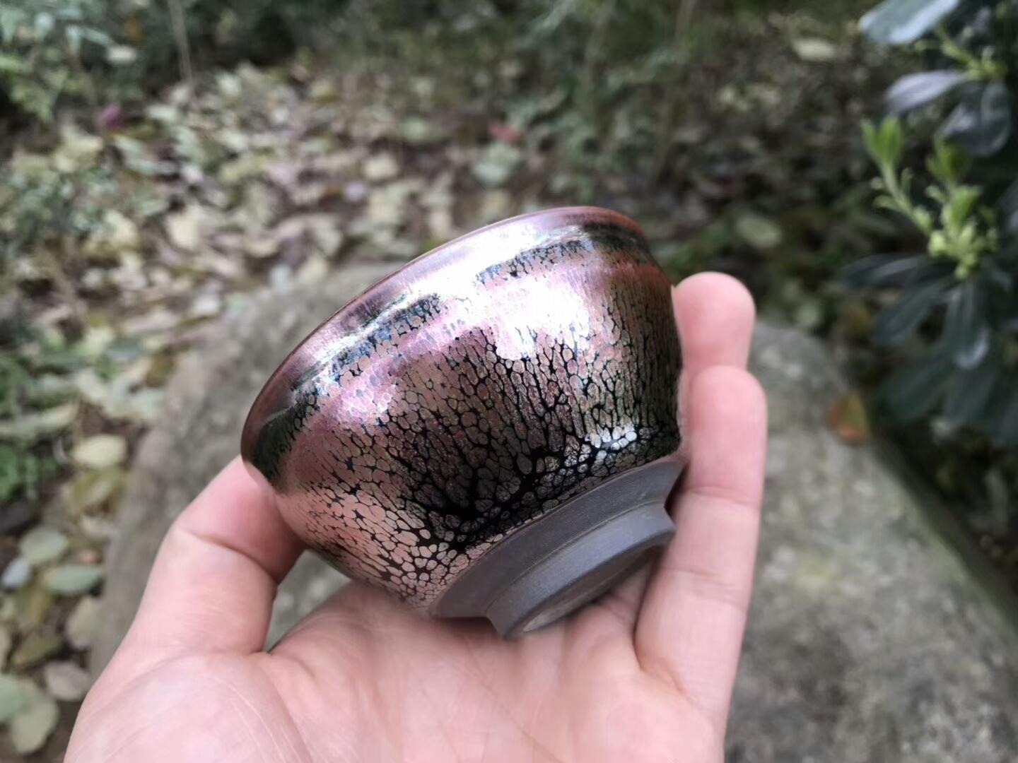 mmexport1551157619679