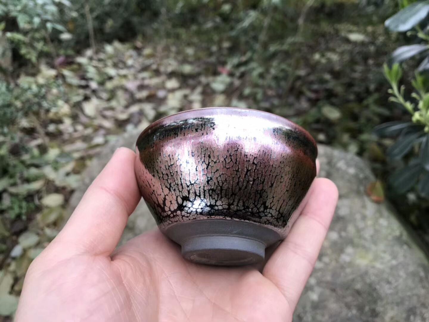 mmexport1551157621792