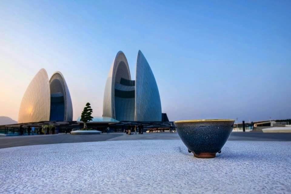 mmexport1553925366266