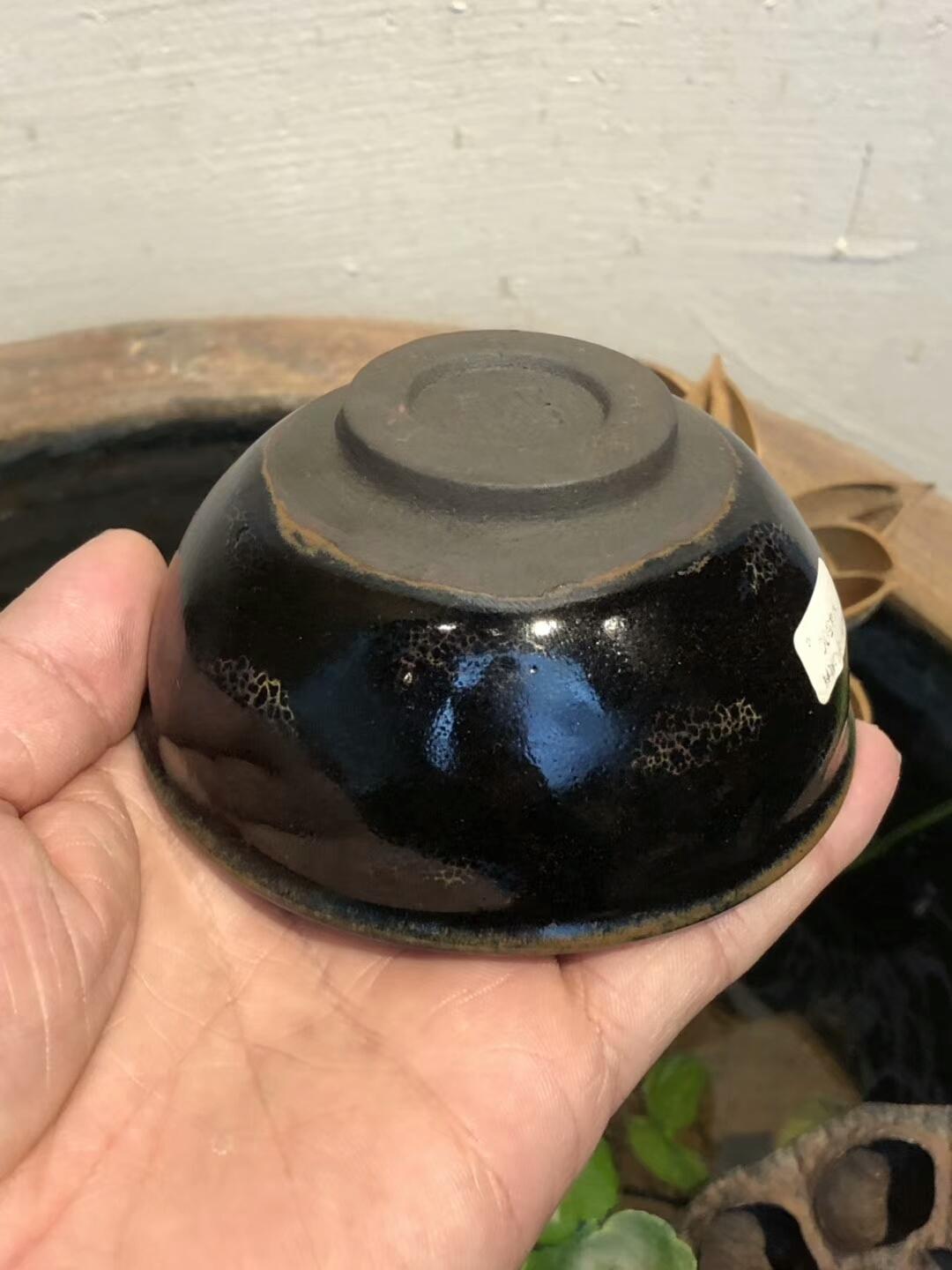 mmexport1554429303404